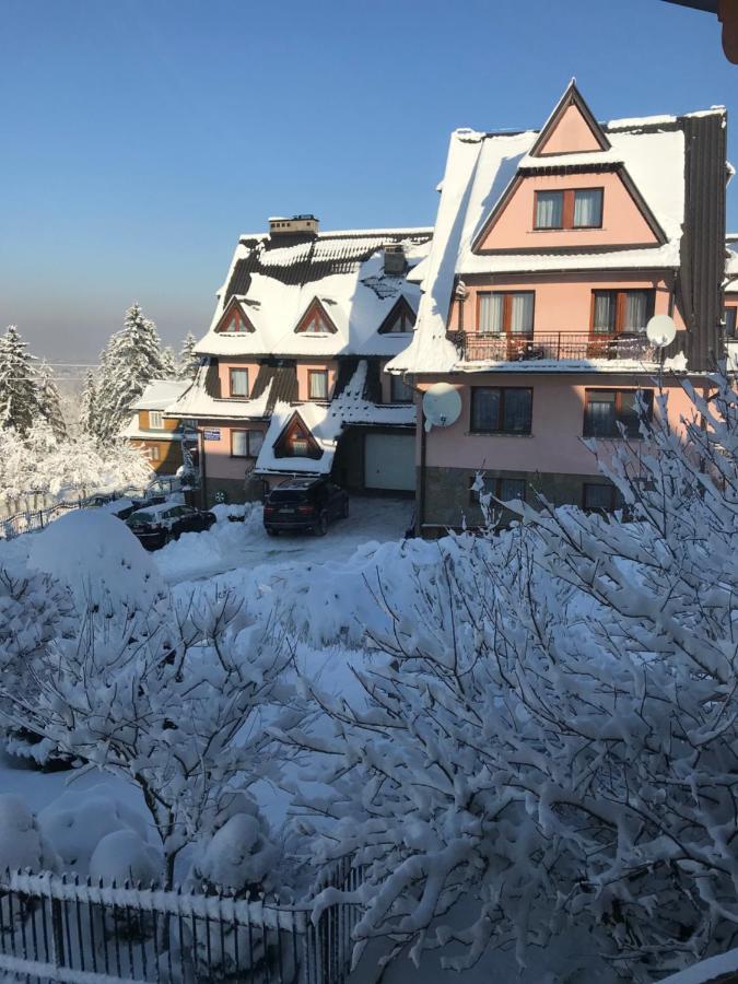 Pokoje U Borzana Bed & Breakfast Bialy Dunajec Exterior photo